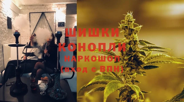 ГАЛЛЮЦИНОГЕННЫЕ ГРИБЫ Верхний Тагил