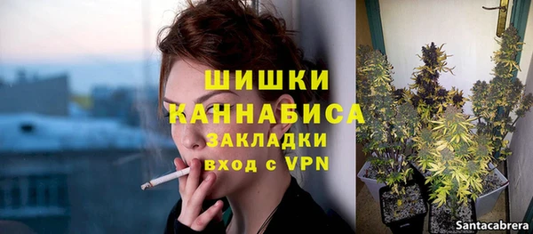 ГАЛЛЮЦИНОГЕННЫЕ ГРИБЫ Верхний Тагил